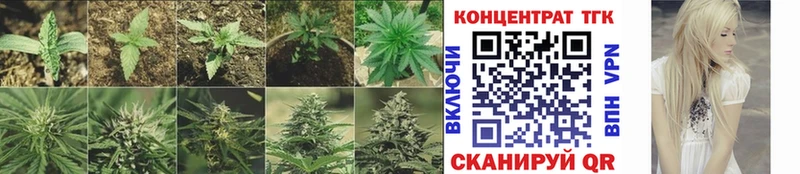 гидра сайт  Верхняя Пышма  Дистиллят ТГК THC oil 