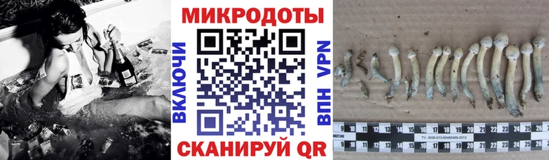 Галлюциногенные грибы мицелий  Верхняя Пышма 