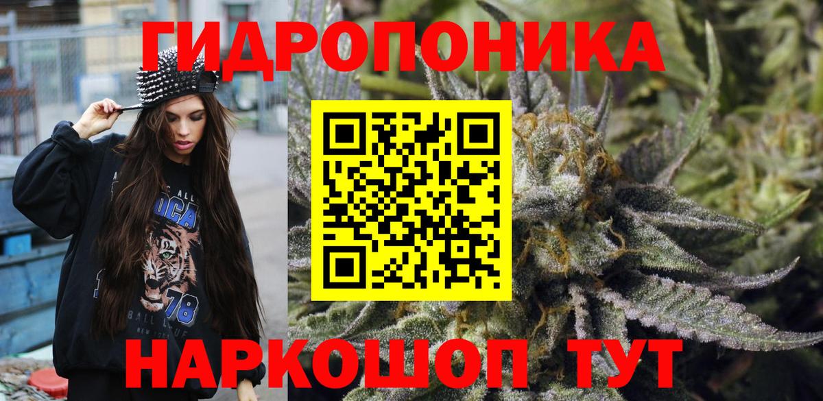 Бошки Шишки планчик Верхняя Пышма